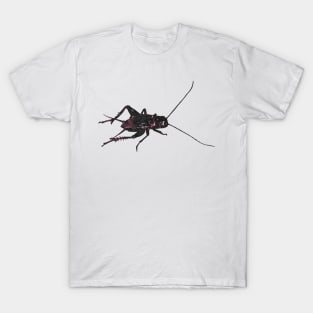 Lucky Cricket T-Shirt